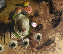 免费ddos平台攻击